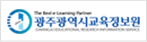 광주광역시교육정보원.png