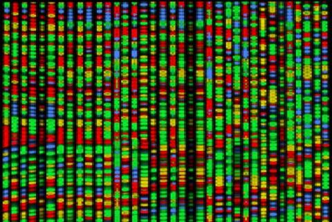 genome.jpg.size_.xxlarge.promo_.jpg