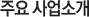 주요 사업소개